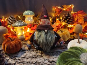 Rowan - Gnome Gardien des secrets des bois